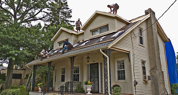 Best Metal Roofing Contractor  in Madison, NC