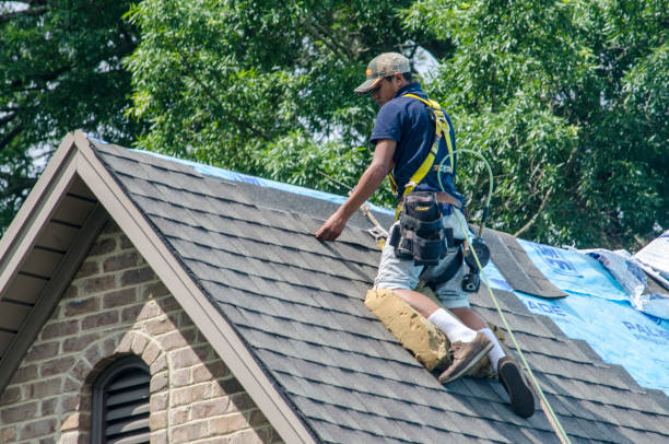 Best Storm Damage Roof Repair  in Madison, NC